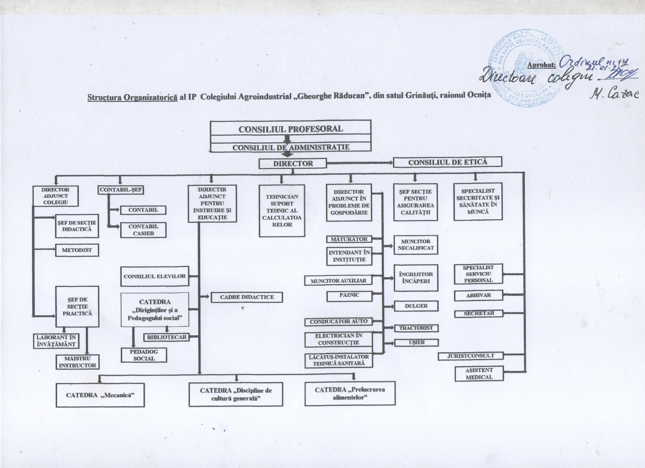 Organigrama instituției 2
