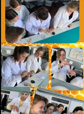 Detectarea falsificării mierii